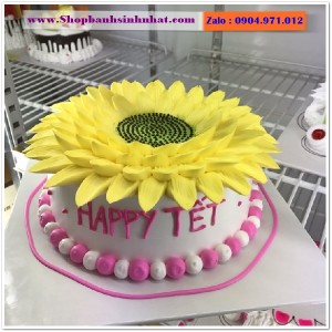 Bánh Sinh Nhật Mừng Thọ - OR61